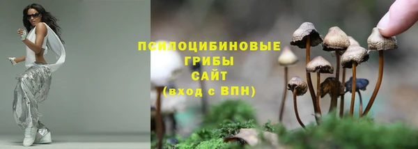 герыч Новодвинск