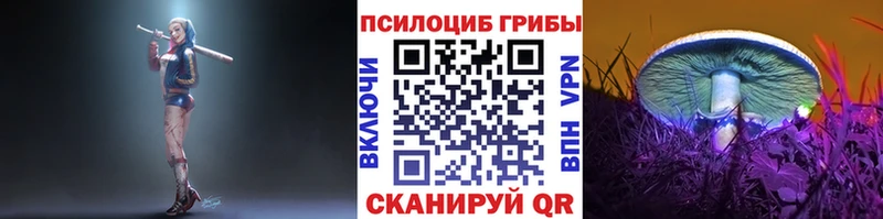 Галлюциногенные грибы Psilocybe  цены   Моршанск 